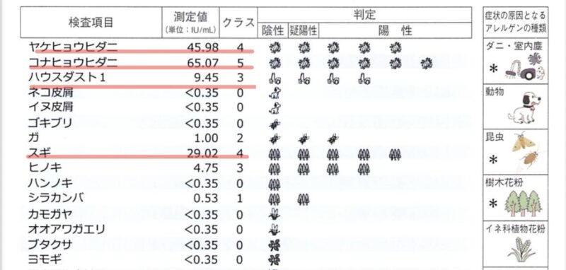 スギ・ダニ・ハウスダストが高値と記録されたアレルギー検査結果の紙